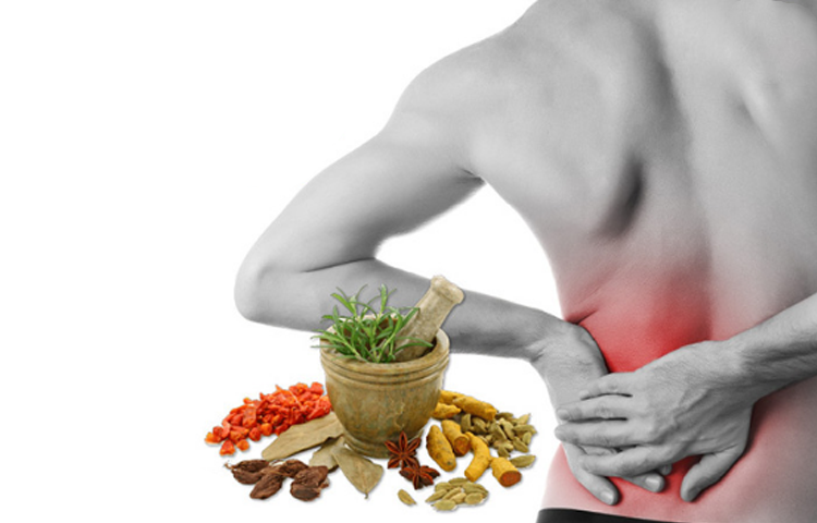 Bài thuốc đông y chữa đau dây thần kinh liên sườn